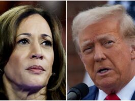 Trump-Harris