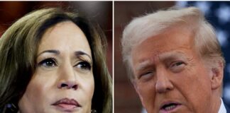 Trump-Harris